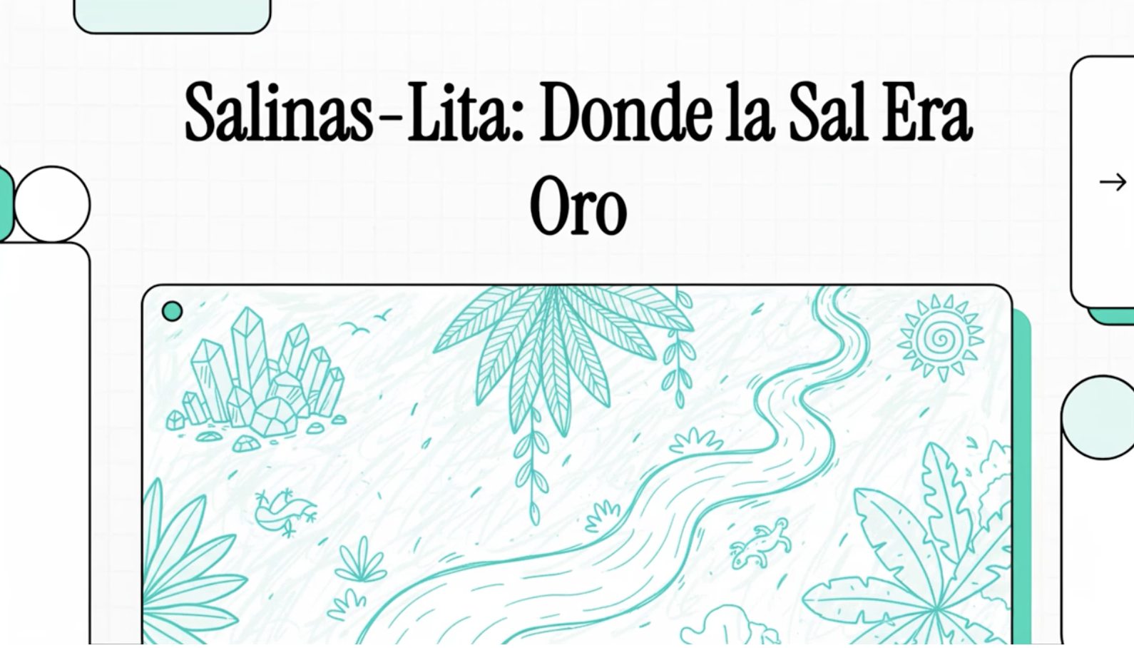 9 Salinas Lita