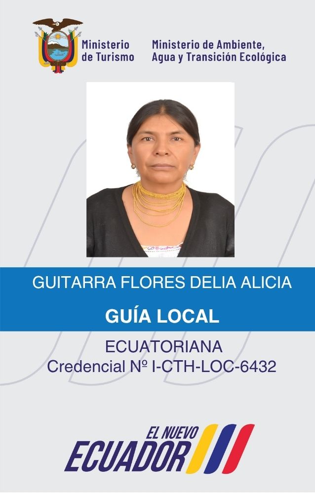 GUITARRA FLORES DELIA ALICIA