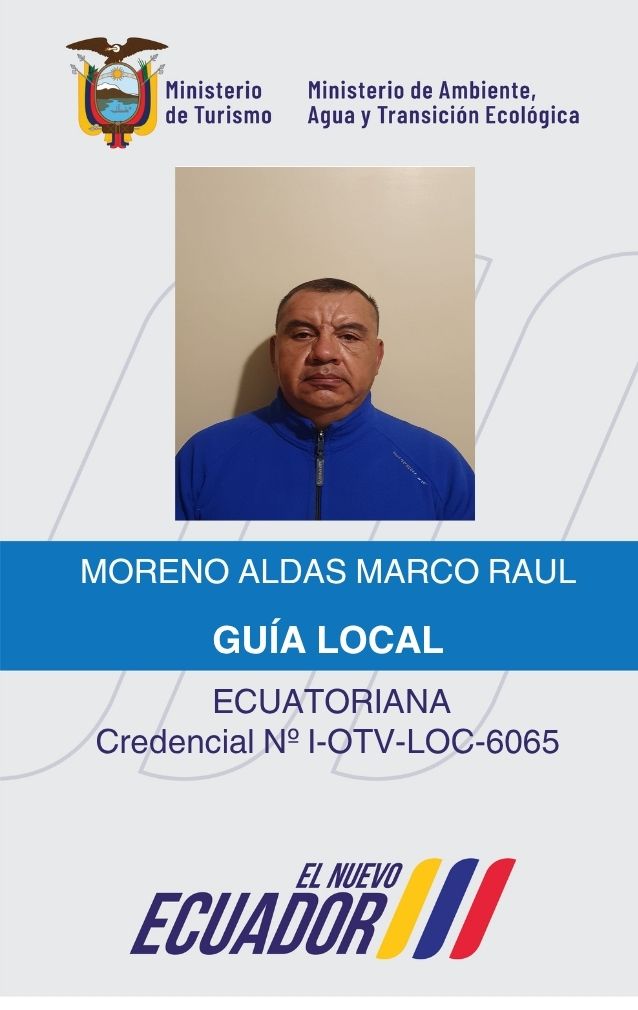 MORENO ALDAS MARCO RAUL