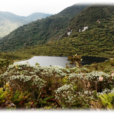 Laguna Negra